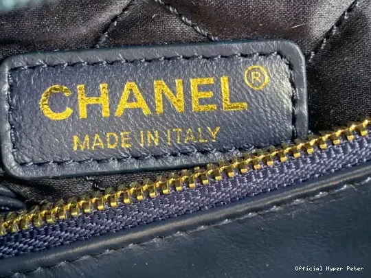 HyperPeter CHANEL SMALL 22 HANDBAG 0610